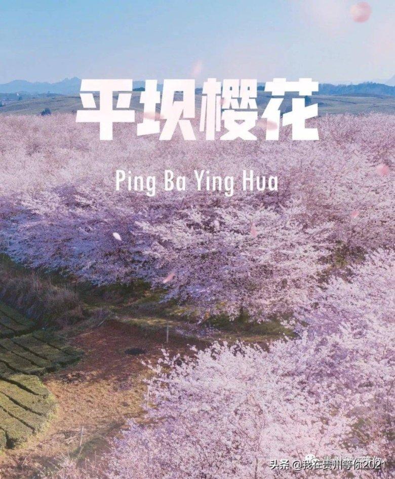 出逃公主失踪了?王冠都凑不齐的日本皇室最近又发生了什么?